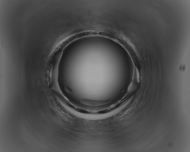 X0000091701352200708241214
