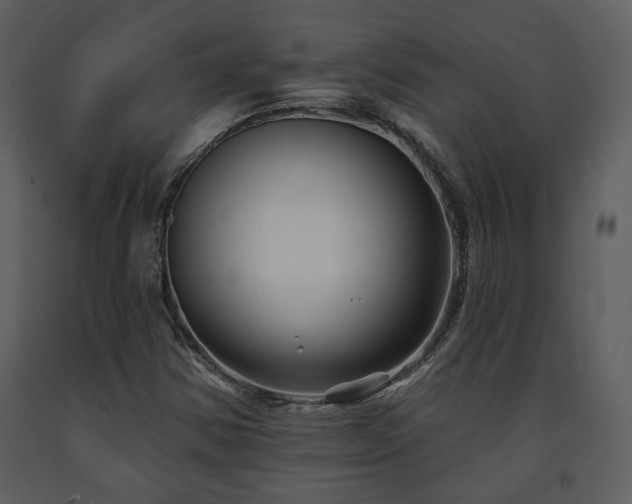 X0000091701354200708241213