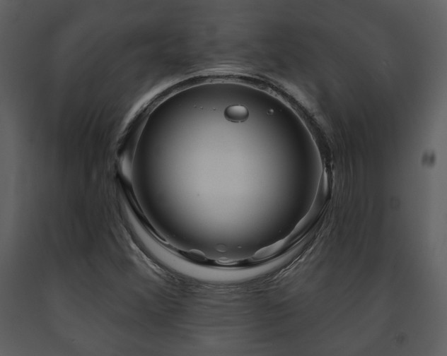 X0000091701356200708241213