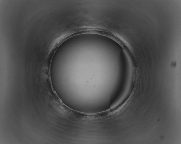 X0000091701357200708241213