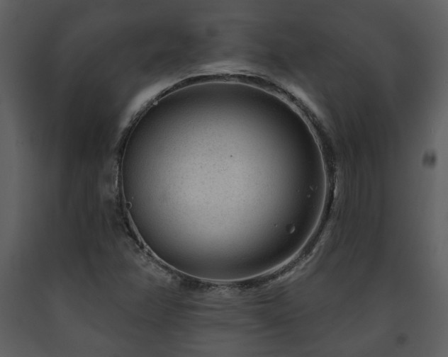 X0000091701358200708241213