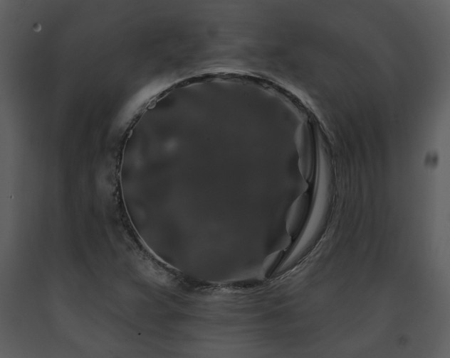 X0000091701359200708241213