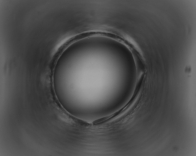 X0000091701360200708241213