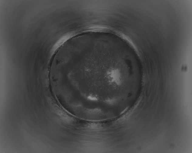 X0000091701362200708241213