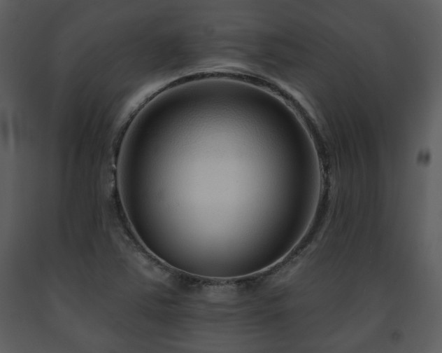 X0000091701363200708241213