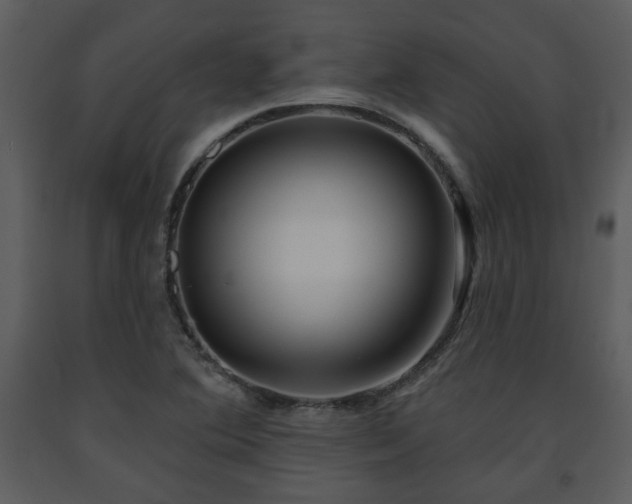 X0000091701364200708241213