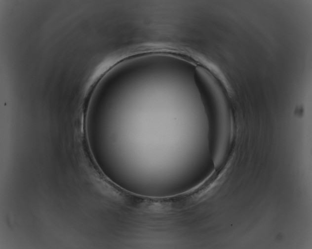 X0000091701365200708241213
