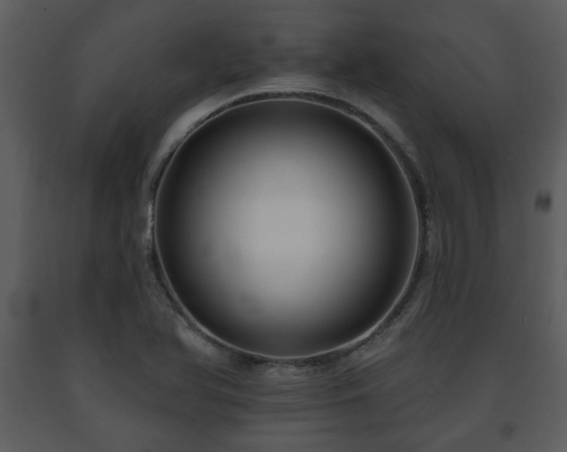 X0000091701366200708241213