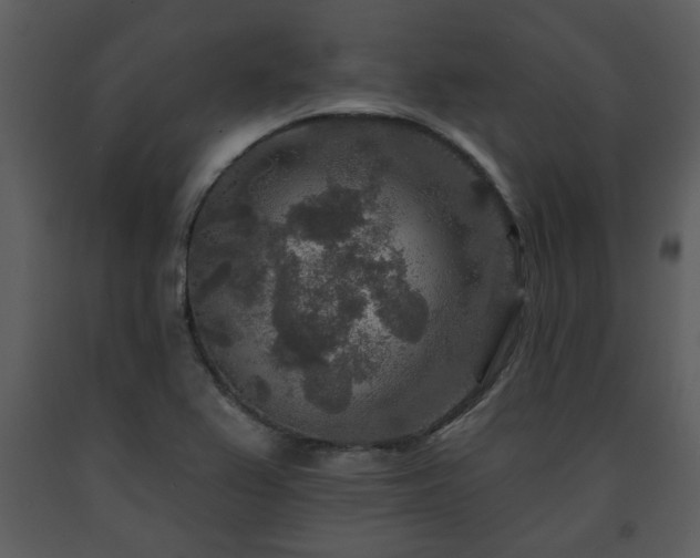 X0000091701367200708241213