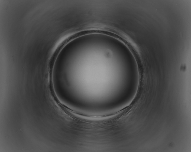 X0000091701368200708241213