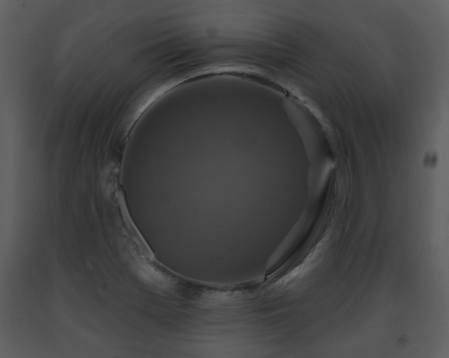 X0000091701369200708241213