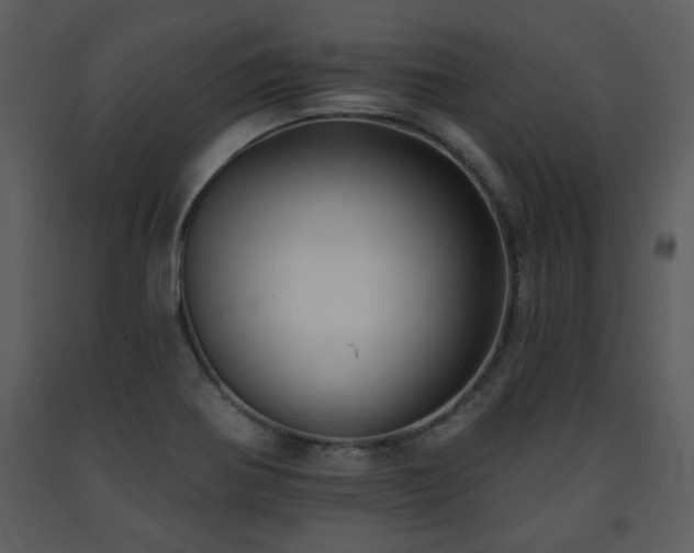 X0000091701370200708241213