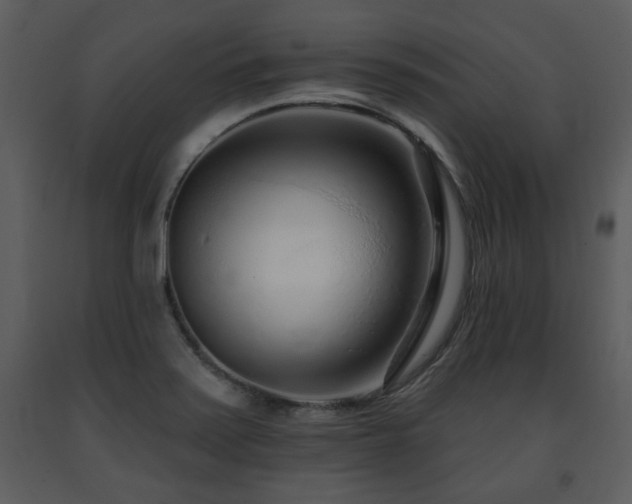 X0000091701371200708241213
