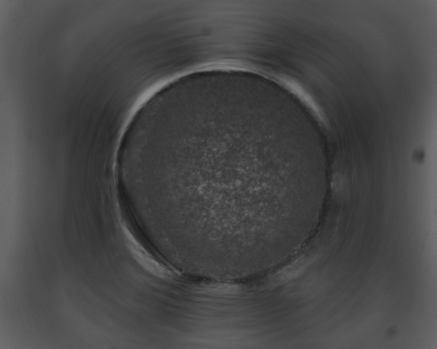 X0000091701372200708241213