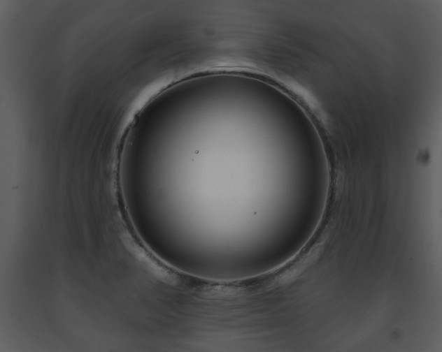 X0000091701374200708241213