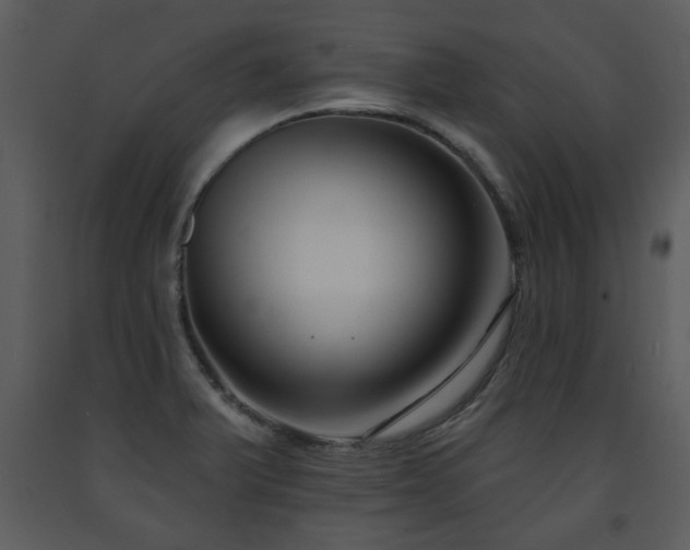 X0000091701375200708241213