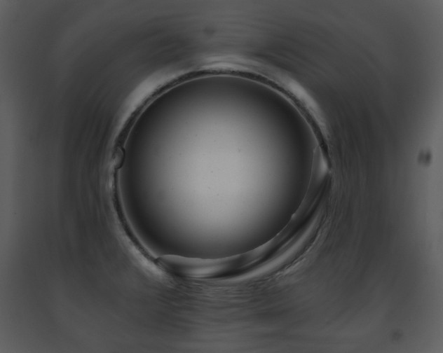 X0000091701376200708241213
