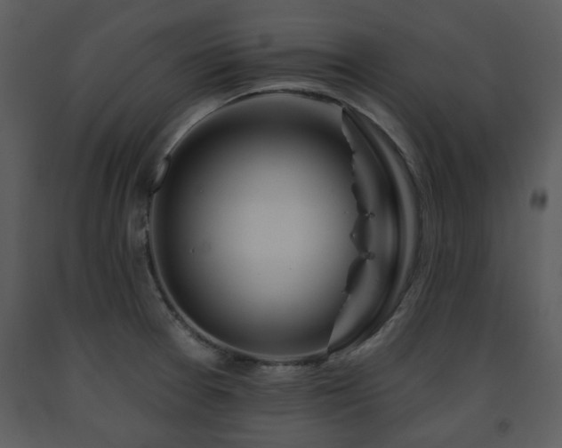 X0000091701377200708241213