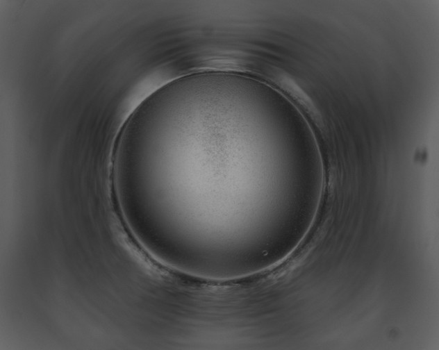 X0000091701378200708241213