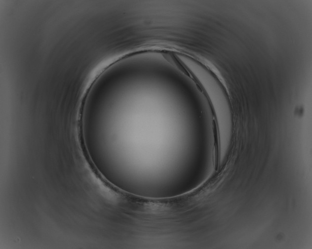 X0000091701379200708241213