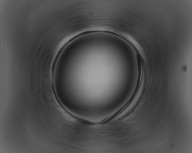 X0000091701380200708241213