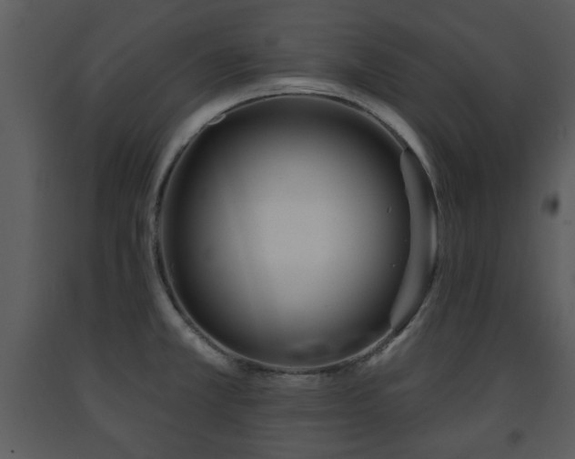 X0000091701381200708241213