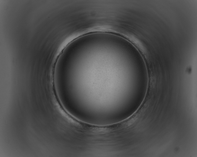 X0000091701382200708241213