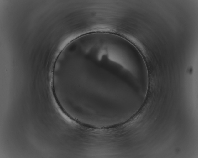 X0000091701383200708241213