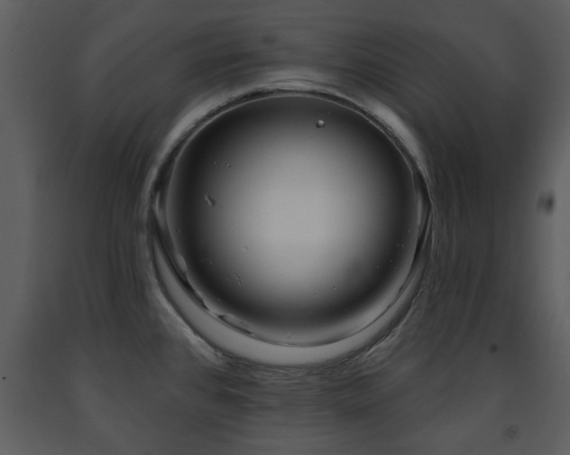 X0000091701384200708241213