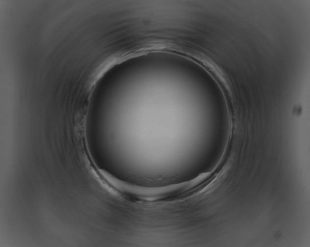 X0000091701385200708241213