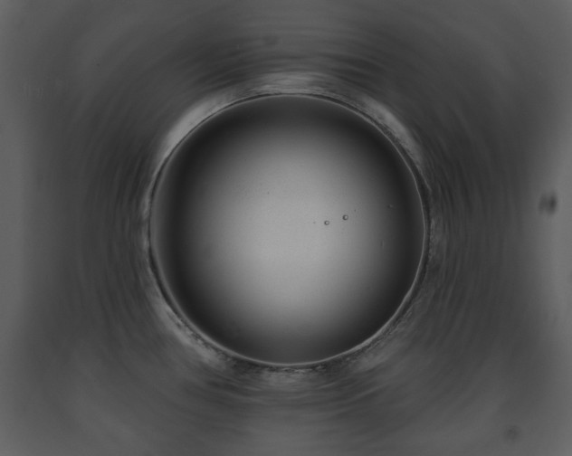 X0000091701386200708241213