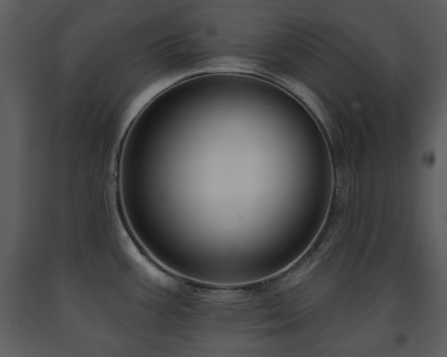 X0000091701387200708241213