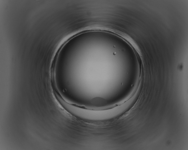 X0000091701388200708241213