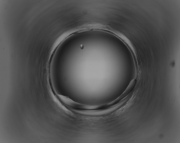 X0000091701389200708241213