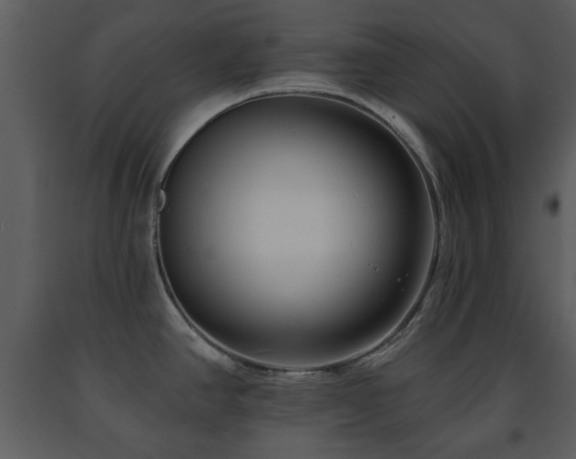X0000091701390200708241213