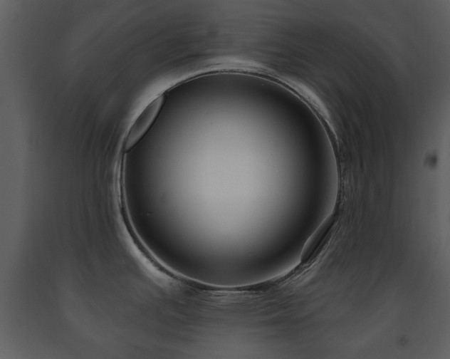 X0000091701391200708241213