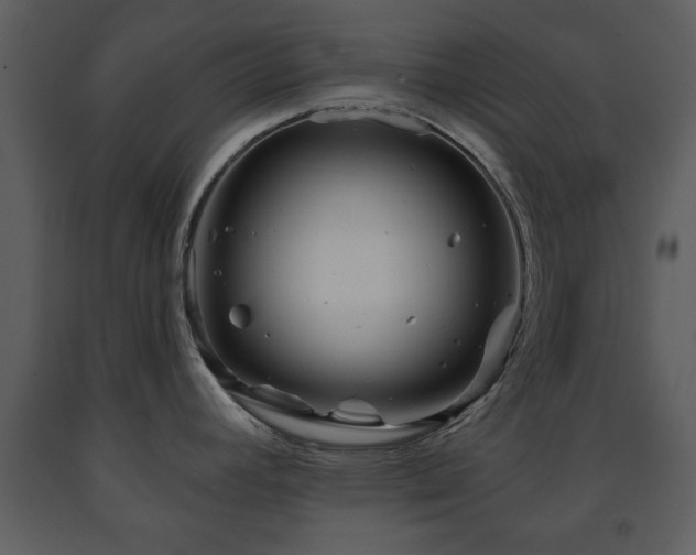 X0000091701392200708241213