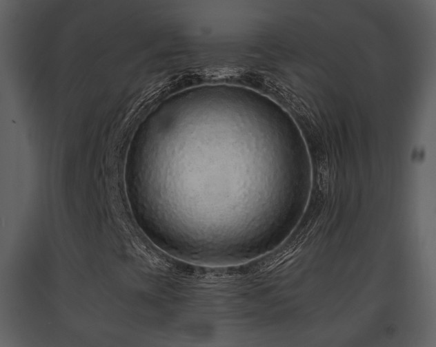 X0000091701393200708241212