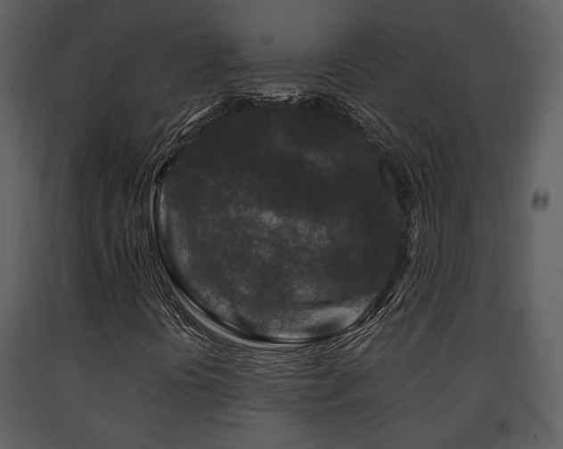 X0000091701394200708241212
