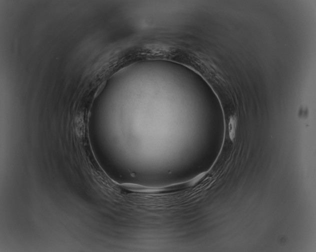 X0000091701395200708241212