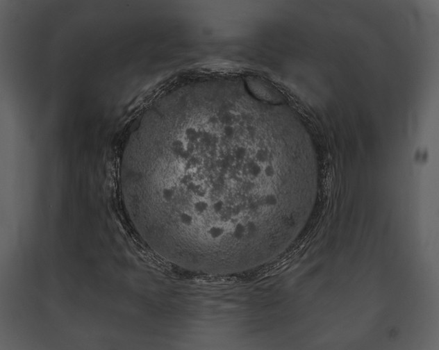 X0000091701397200708241212