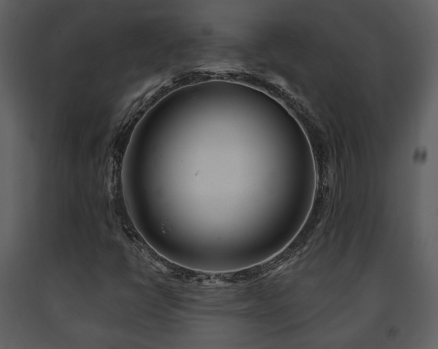 X0000091701398200708241212