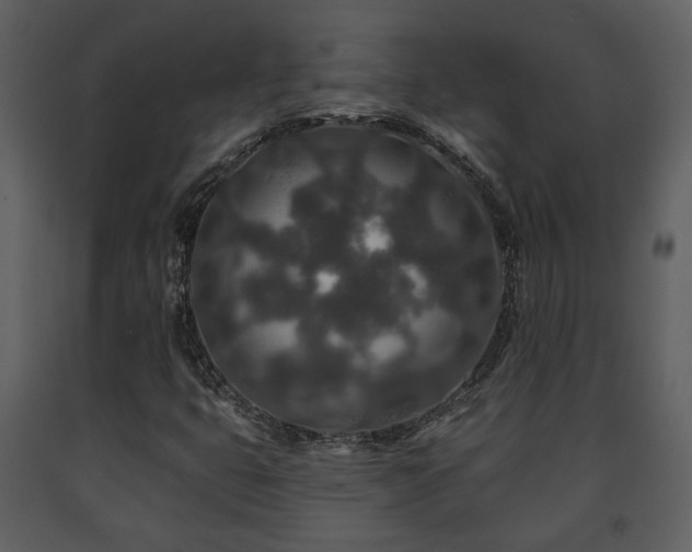 X0000091701399200708241212