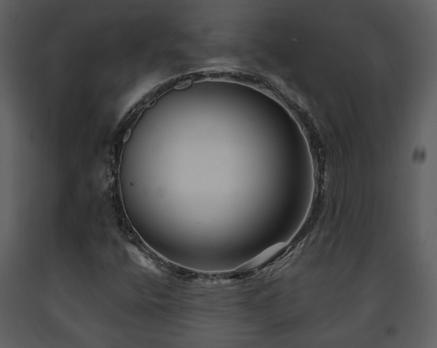 X0000091701400200708241212