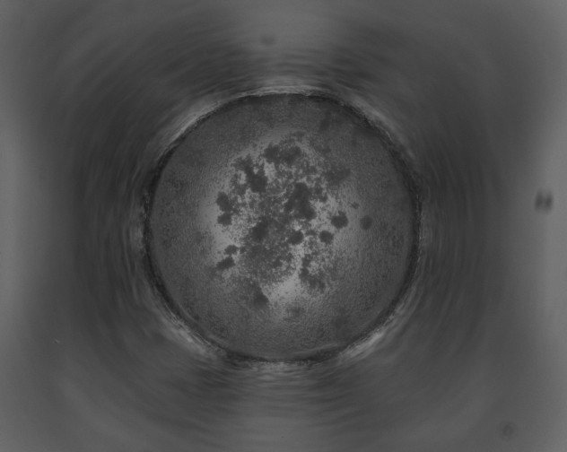 X0000091701401200708241212