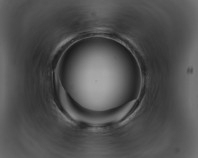 X0000091701402200708241212