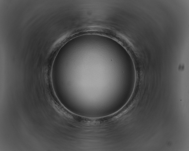 X0000091701403200708241212