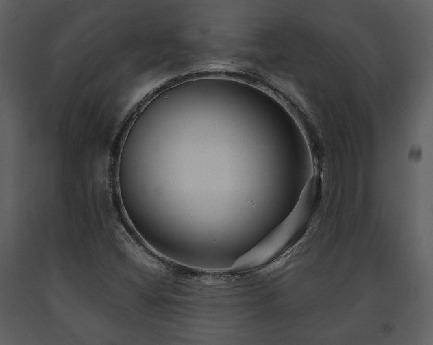 X0000091701404200708241212
