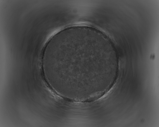 X0000091701405200708241212