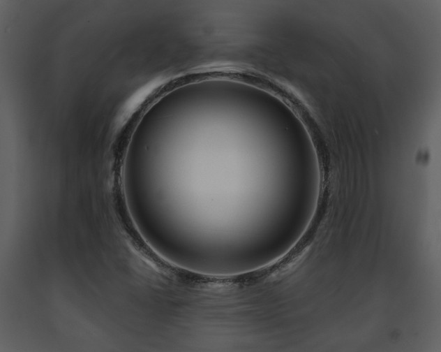 X0000091701406200708241212